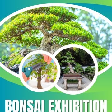 Blue and Green Gradient Bonsai Exhibition Flyer - 1