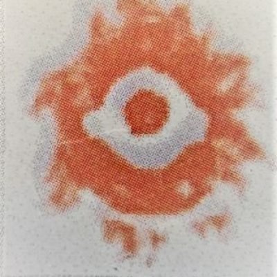 LOGO-VALBONESI-PADOVA