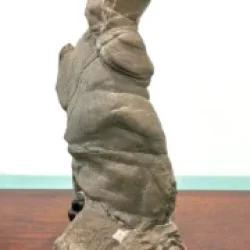 Mondo_Bonsai_2025_485897058_3925722291028535_8239511128548583062_n-180x300
