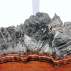 Mondo_Bonsai_2025_489281760_3925722837695147_1883259748541093412_n-300x165