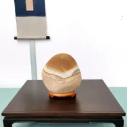 Mondo_Bonsai_2025_490435488_3925722594361838_9080645082952935580_n-222x300