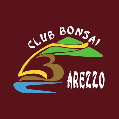 club bonsai